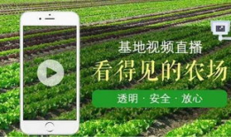 短视频 农产品,开启乡村振兴新篇章